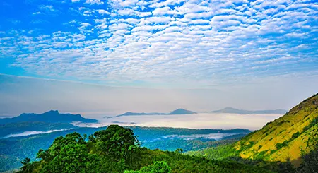 Chikmagalur hill tourism showcasing coffee trails, mountains, trekking, and scenic travel