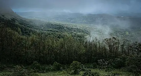 Coorg hill station tourism featuring coffee estates, forests, waterfalls, and nature travel