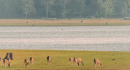 Nagarhole National Park wildlife tour showcasing forests, safaris, biodiversity, and eco travel