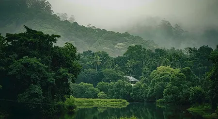 Thekkady Kerala wildlife tourism showcasing Periyar reserve, boat safaris, and forest travel adventures