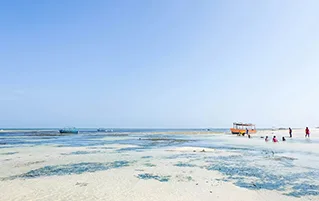 Kenya coastal tour packages featuring Mombasa, Diani Beach, and Shimba Hills safari