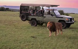 Kenya safari travel package featuring Tsavo, Amboseli, and Great Rift Valley landscapes