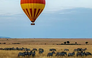 Kenya wildlife safari tour exploring Maasai Mara, Lake Nakuru, and Amboseli