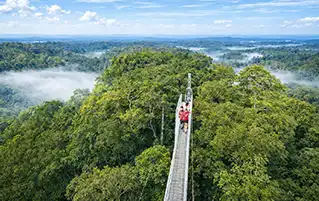 Brunei tour package featuring rainforest adventures, cultural heritage, and scenic landscapes