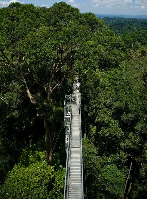 Popular travel attractions featuring Brunei scenic landmarks parks and waterfronts