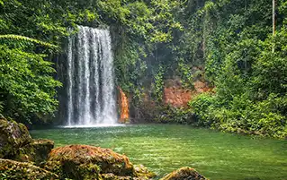 Brunei travel package showcasing tropical rainforests, wildlife encounters, and heritage sites