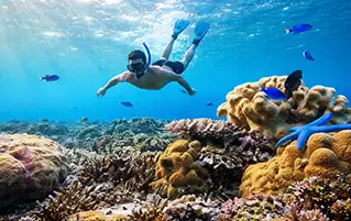 Bali island hopping tour package covering Kuta Nusa islands and Ubud travel