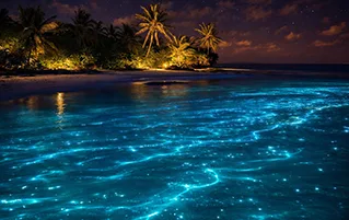 Exciting Maldives travel holiday package at Hard Rock island resort