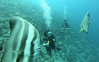 Exclusive Maldives tour package at Machchafushi Island Resort and Spa