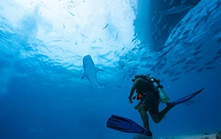 Maldives travel package featuring Taj Coral Reef luxury island escape