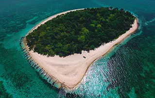 Philippines tour package exploring Cebu islands, reefs, beaches, and marine life