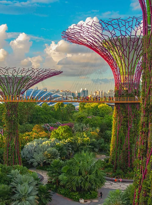 Singapore heritage tourism covering iconic temples colonial buildings and historic cultural attractions