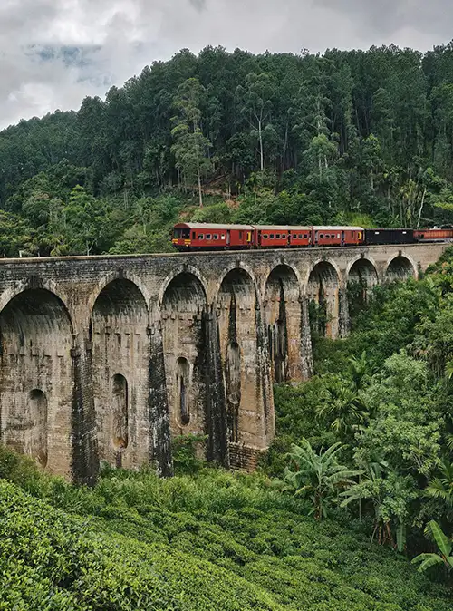 Sri Lanka travel featuring Ella bridge scenic train journeys and lush hill country views