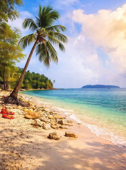 Havelock Island beaches and coral reefs showcasing top attractions for Andaman travel trip