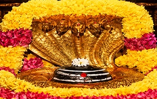 Srisailam Divine Jyotirlinga and Shakti Peetha Tour featuring Mallikarjuna and Bhramaramba Temple