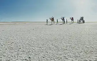 Gujarat tour to White Rann of Kutch, Bhuj culture and Mandvi beach travel