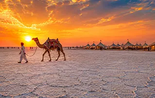 White Rann of Kutch sunset and cultural resort stay showcasing Gujarat’s desert landscape and vibrant local culture