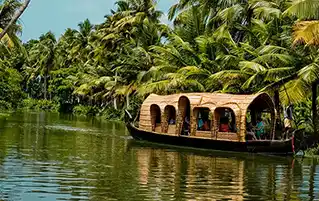 Kerala tour exploring Munnar hills, Thekkady wildlife, and Alleppey backwaters