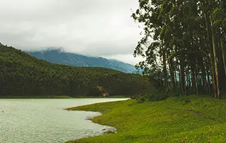 Kerala hill tour featuring Munnar, Thekkady wildlife, and scenic landscapes