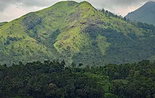 Wayanad nature tour featuring caves, rivers, and tropical rainforests