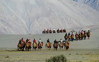 Leh Ladakh tour packages covering Nubra Valley and Pangong Lake scenic travel