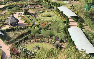 Wildlife safari and hill station holiday in Satpura and Pachmarhi Madhya Pradesh