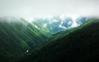Quick Meghalaya holiday exploring Shillong and Cherrapunji with scenic travel experiences
