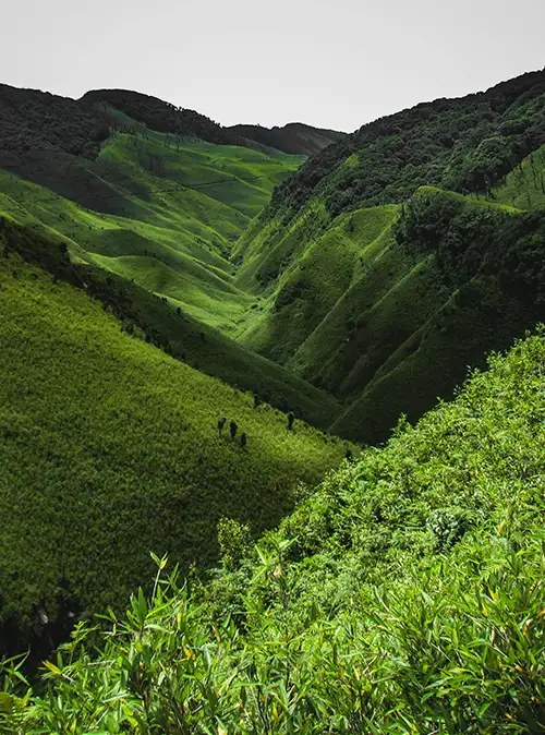 Top Nagaland attractions including villages hills and landmarks for memorable tourism experiences