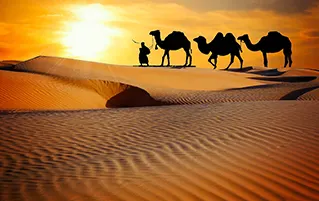 Rajasthan heritage and desert tour covering iconic cities with rich cultural travel