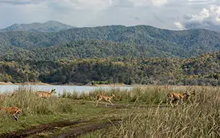 Uttarakhand holiday tour covering Jim Corbett wildlife and Nainital hill station travel