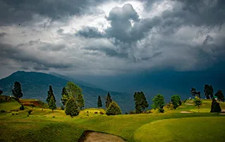 Dooars Kalimpong wildlife tour in West Bengal featuring forests hills and safari travel