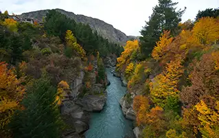 New Zealand tour package featuring Auckland, Rotorua, Queenstown and Milford Sound landscapes