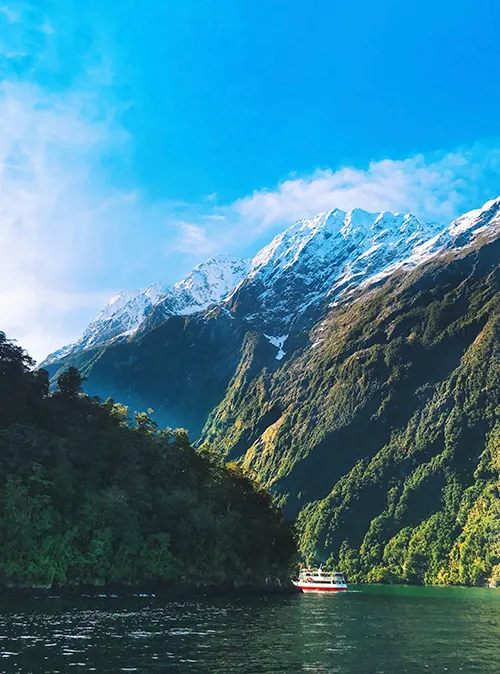 New Zealand nature tour featuring alpine peaks glaciers fjords and scenic landscapes.